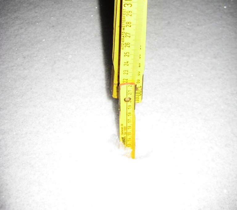 2010TiefDaisy1