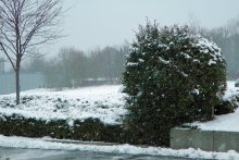 Schnee in Arnsberg Tief Petra