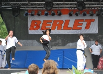 Teakwon-Do Show Neheim Live 2011