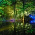 Fotos Waldlichter 2012