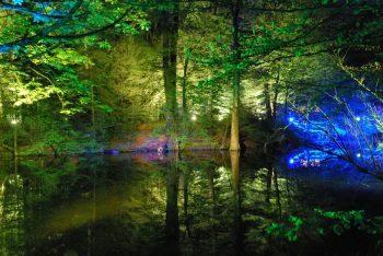 Fotos Waldlichter 2012