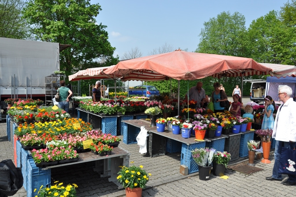 Moosfelder Maimarkt