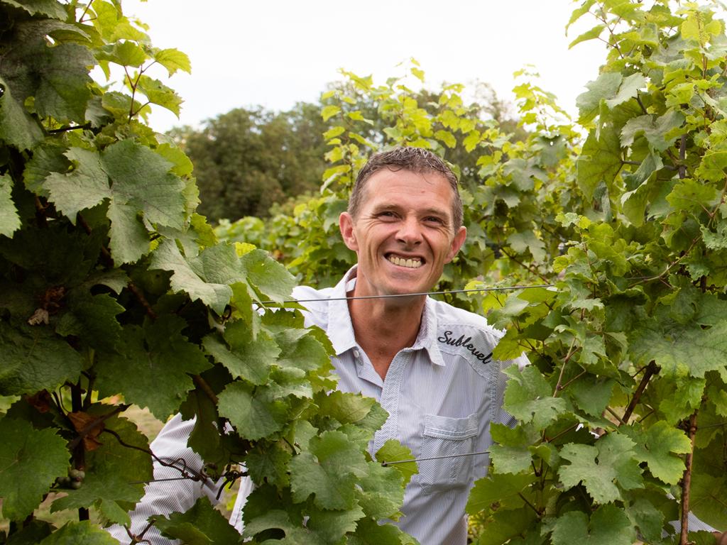 Winzer Matthias Petry, Weingut Katharinenhof