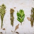 A set of herbs. On rustic background.
