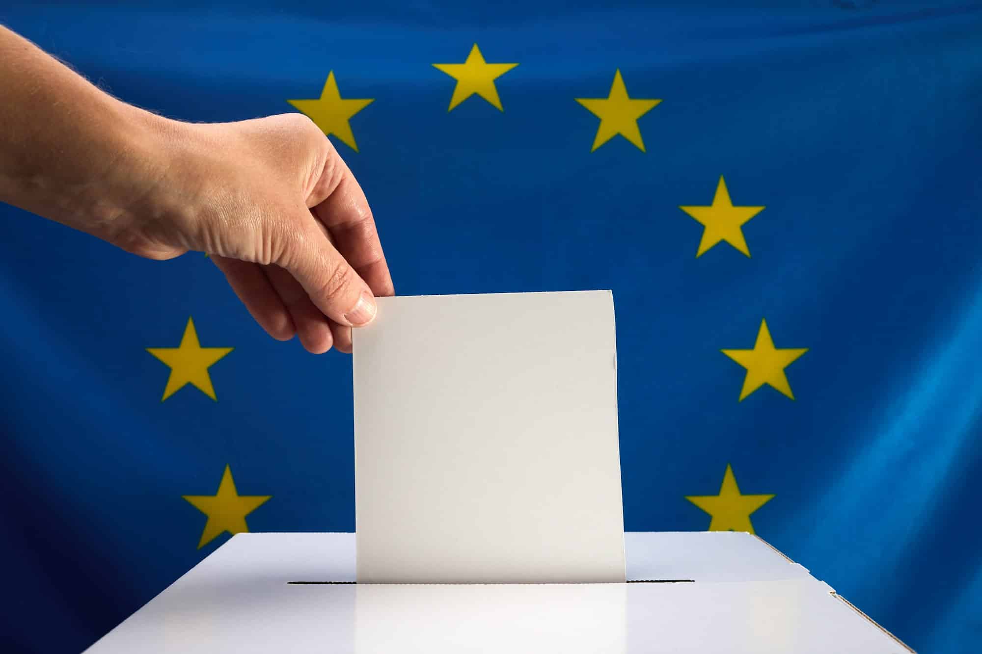 Voting in European Union Election