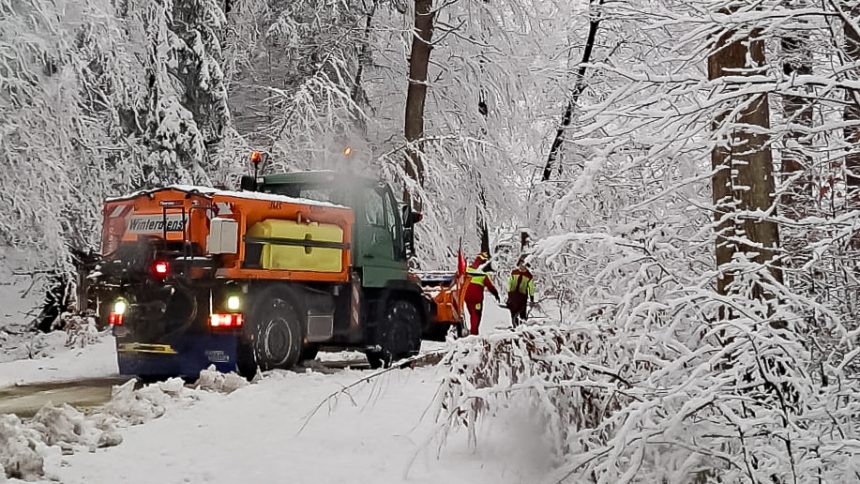 Wintereinbruch Rumbecker Holz