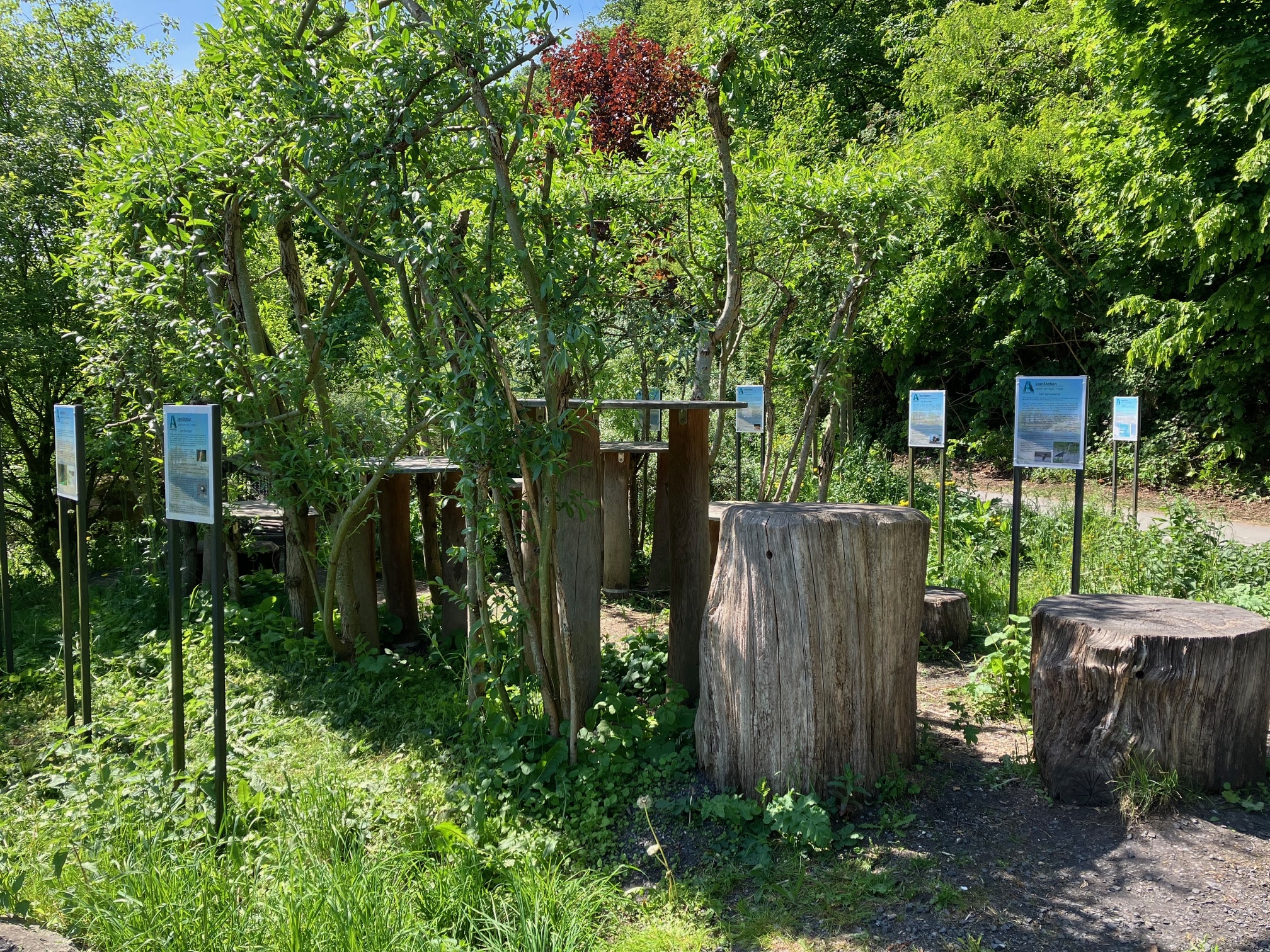 Natur-Erlebnis-Raum1 (Copyright: Stadt Arnsberg)