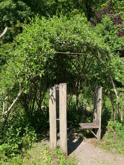 Natur-Erlebnis-Raum (Copyright: Stadt Arnsberg)